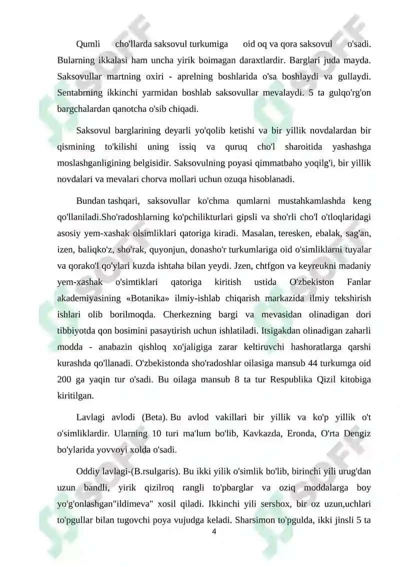 SHO’RADOSHLAR OILASI HAQIDA UMUMIY MA’LUMOT VA JAG’-JAG’ O‘SIMLIGI 4