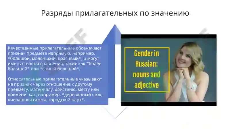 Sifat soʻz turkumi rus tilida 4