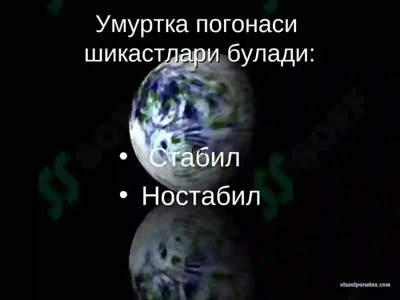 Умуртка погонаси ва орка мия шикастлари 4