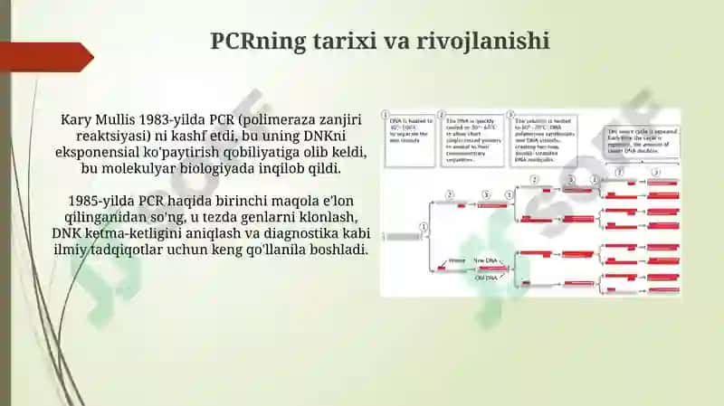 PCRning asosiy tamoyillari 4