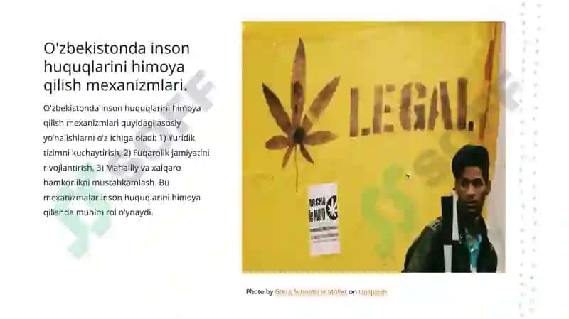 Inson huquqlari va erkinlik kafolatining yaratilishi 4