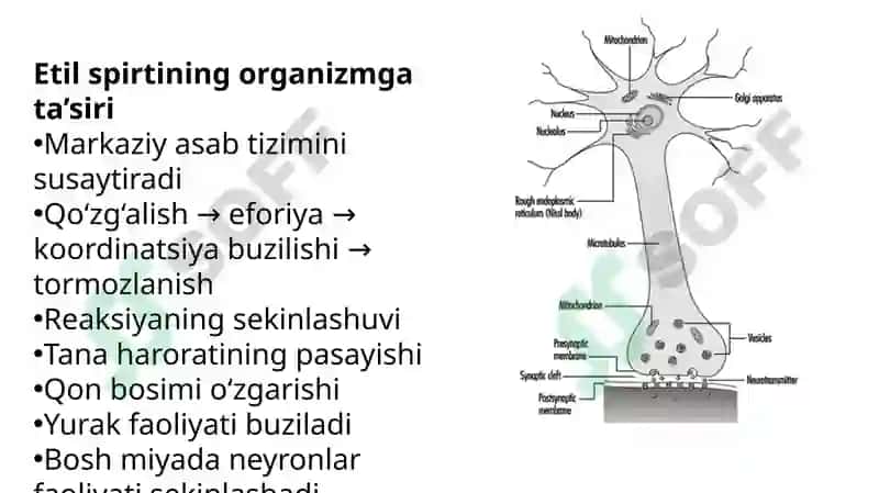 Etil spirti. Alkogolizm va uning asoratlari. 4
