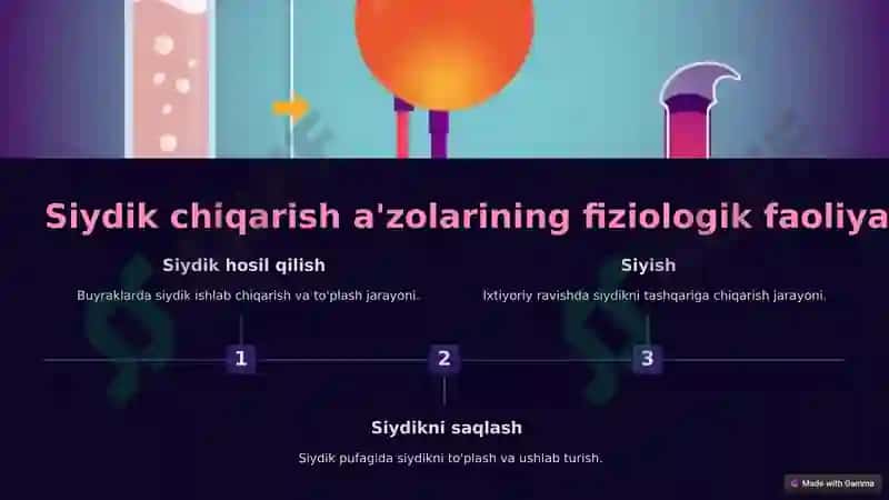 Siydik hosil qilish va ajratish semiotikasi 4