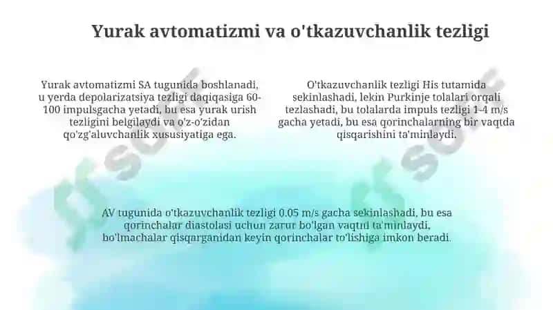 Yurakning o'tkazuvchi yo'llari. Yurak innervasiyasi 4