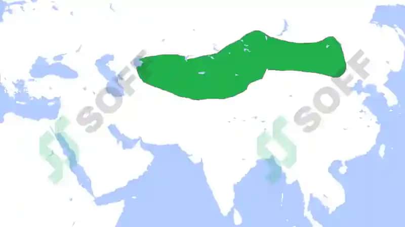 Turk xoqonligi 4