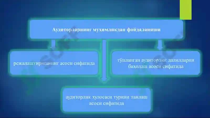 АУДИТОРЛИК ТЕКШИРУВИДА МУҲИМЛИК ВА РИСК 4