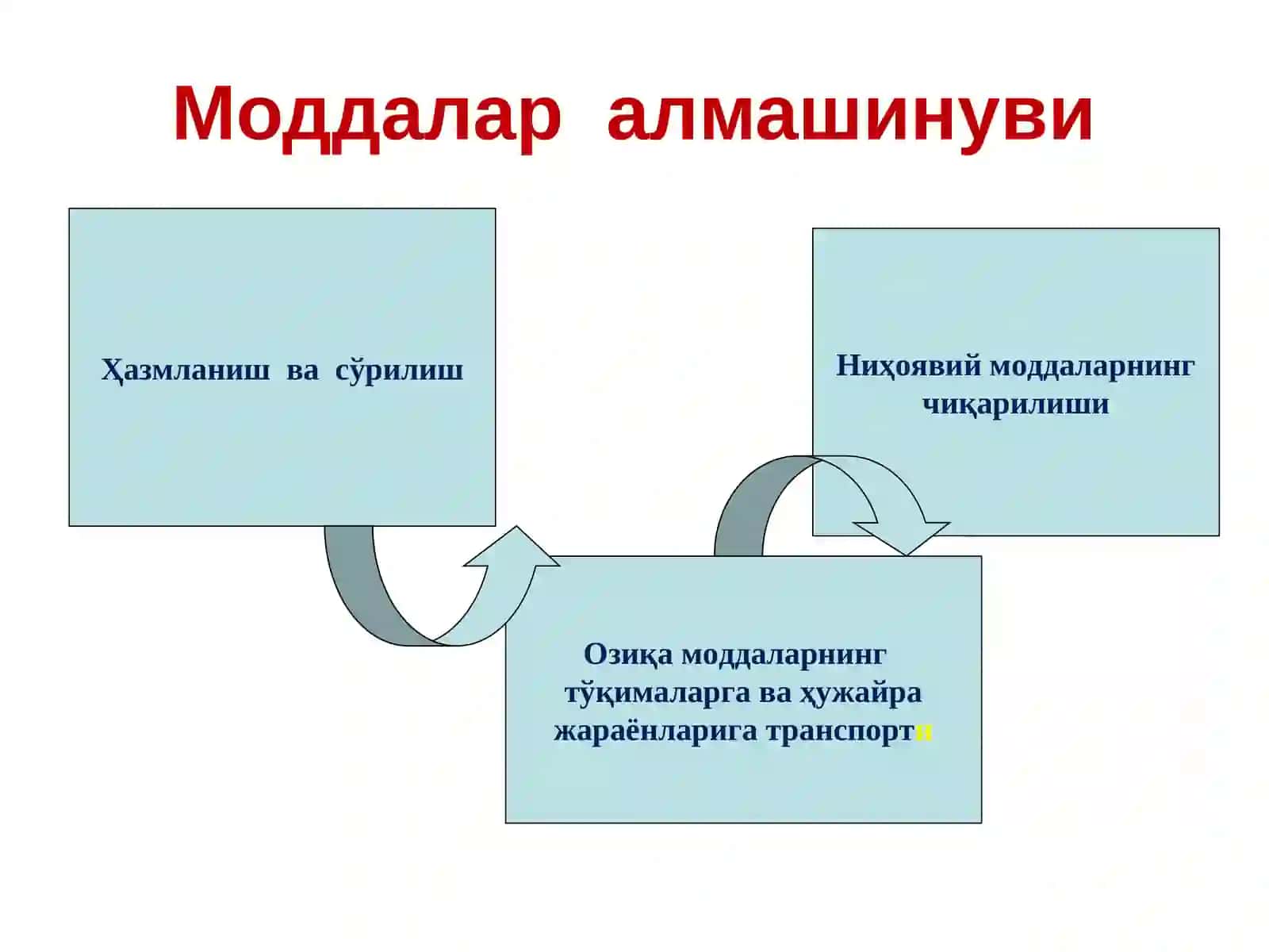 Modda va energiya almashinuvi va termoregulyatsiya 4