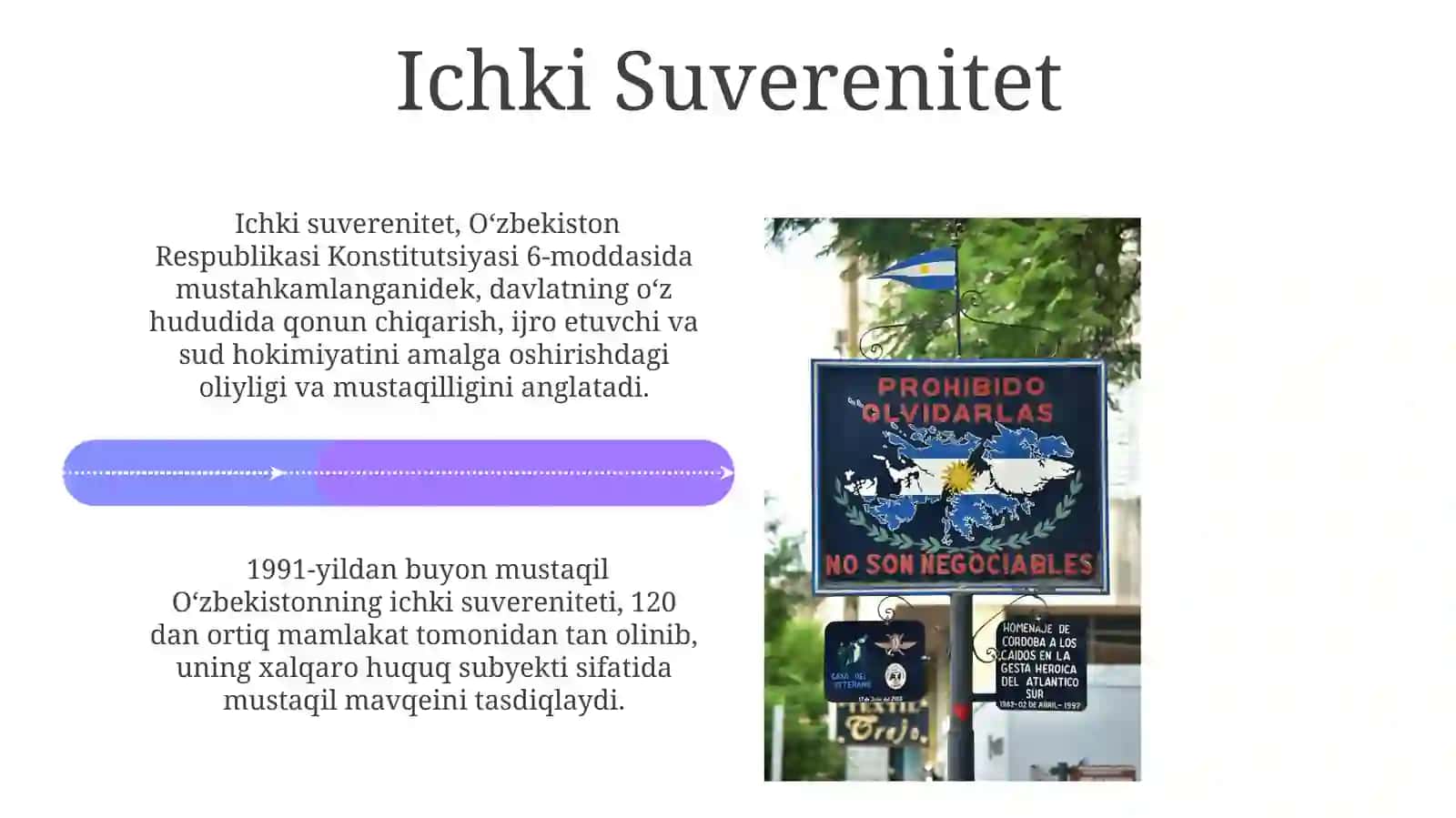 Davlat Suvereniteti Prinsipi 4
