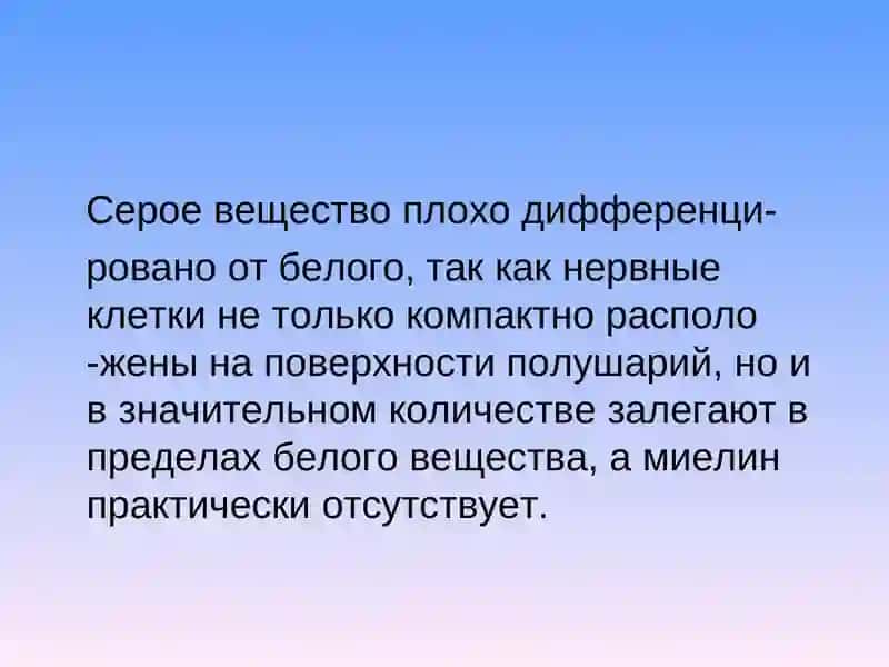 Анатомо-физиологические особенности детского организма 4