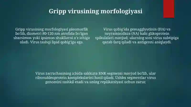 Gripp virusini laboratoriya diagnostikasi 4