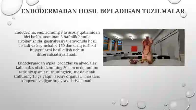 Rivojlanish biologiyasi progeniz embrogeniz 4