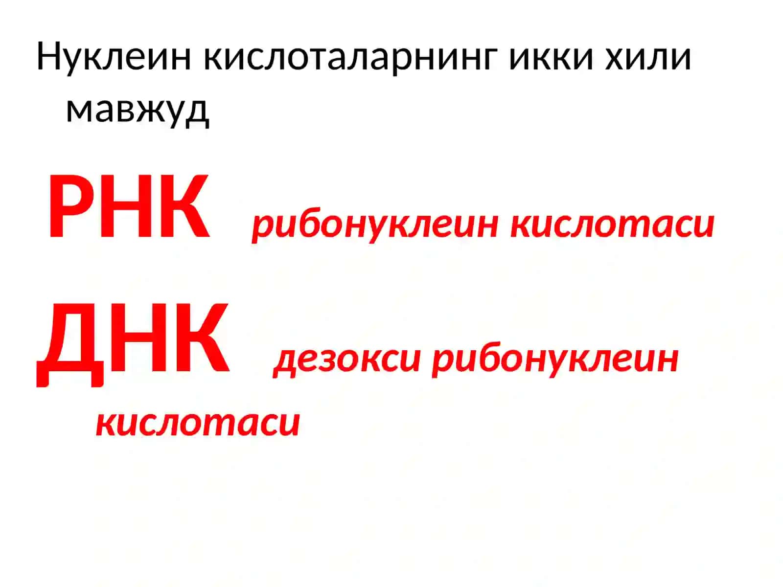 НУКЛЕИН КИСЛОТАЛАРИ 4