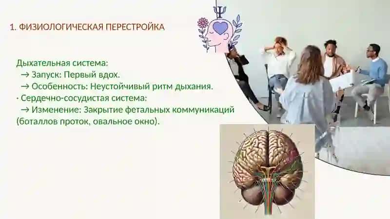Особенности психофизиологического развития в перинатальном и новорожденном возрасте. Комплекс оживле 4