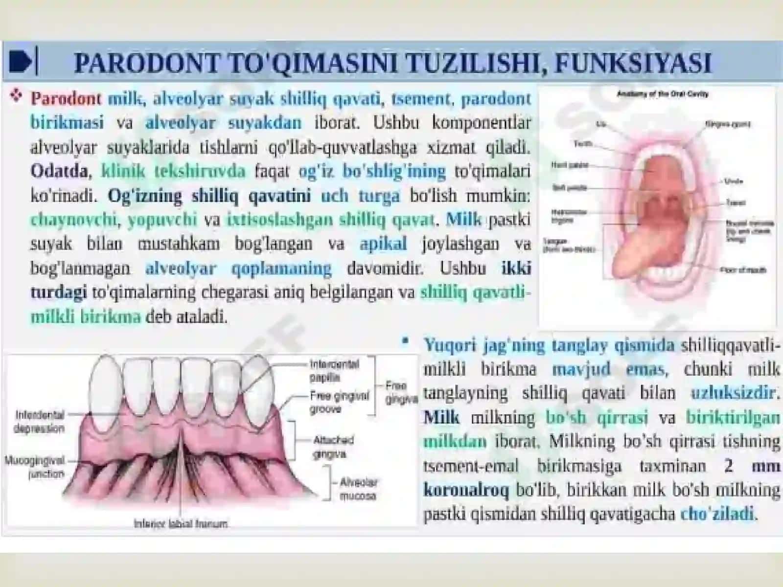 Parodont  to’qimasini tuzilishi, funksiyasi. Parodont kasalliklarini tasnifi. 4