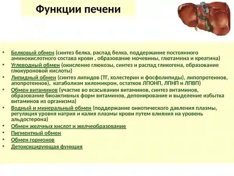 Заболевания  печени во время беременности.Рвота беременных   Гепатоз беременности, HELLP синдром. 4