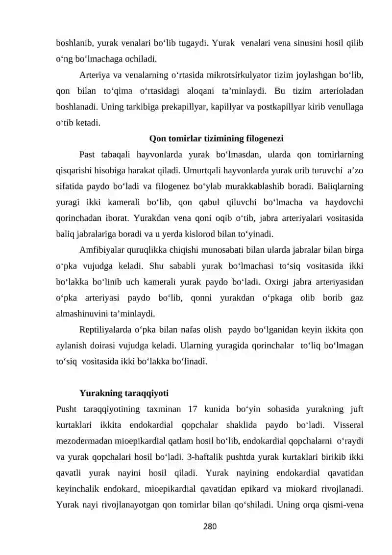 Qon tomirlar tizimi haqidagi ilm-angiologiya 4