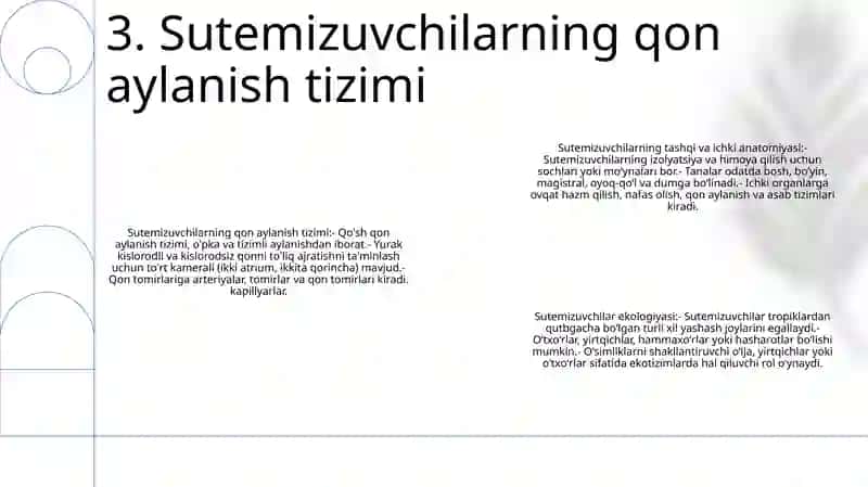 Sutemizuvchilarning Tashqi Va Ichki Tuzilishi 4