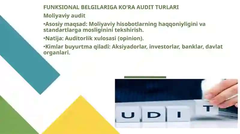 Audit turlari va funksional tasniflari 4