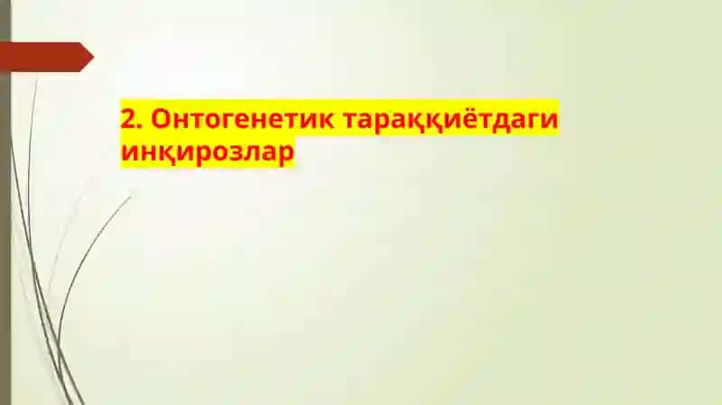 Онтогенез 4
