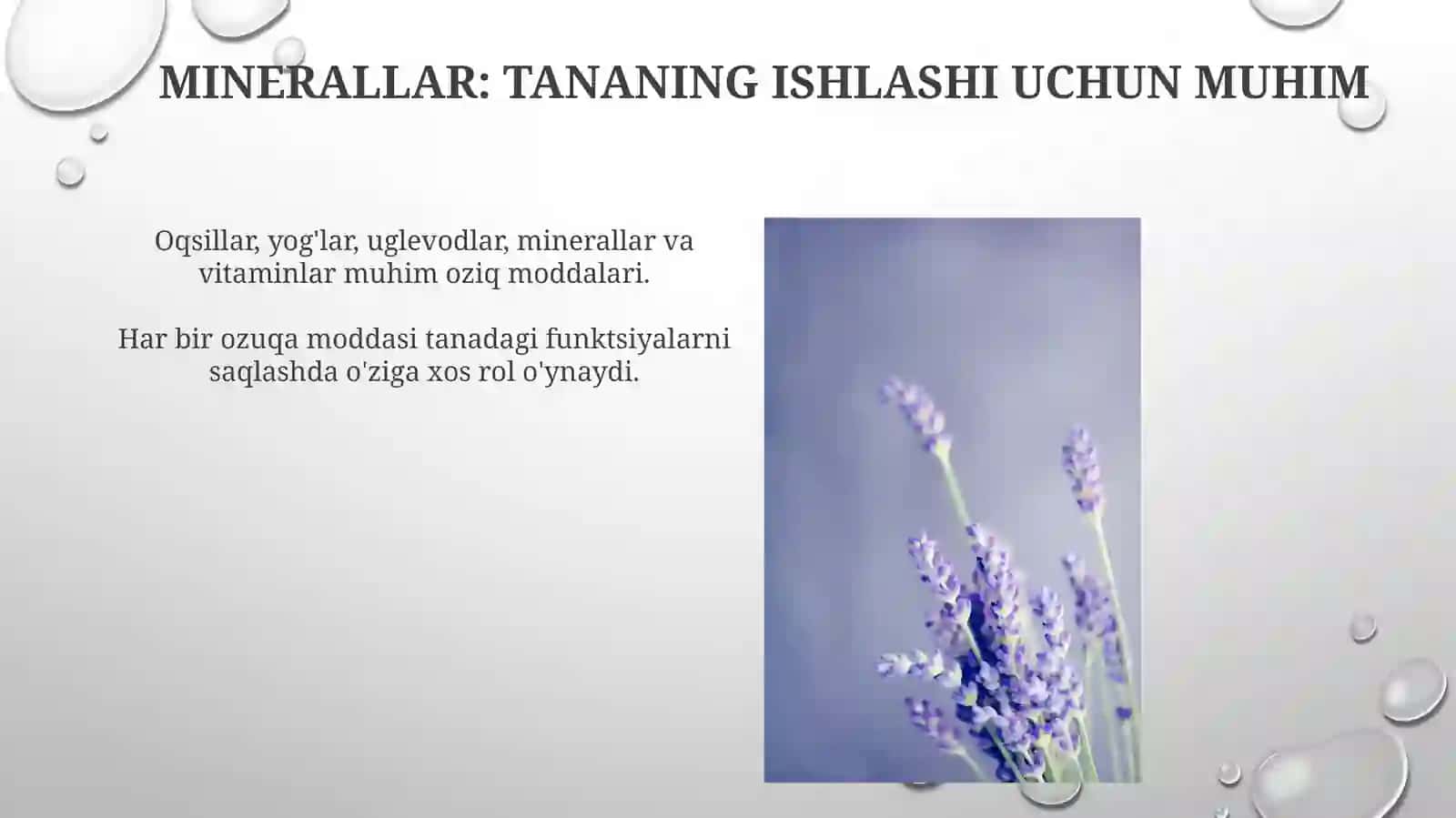 Asosiy oziqaviy moddalar: oqsil, yog', karbonsuvlar, mineral moddalar, vitaminlarning va biologik roli 4
