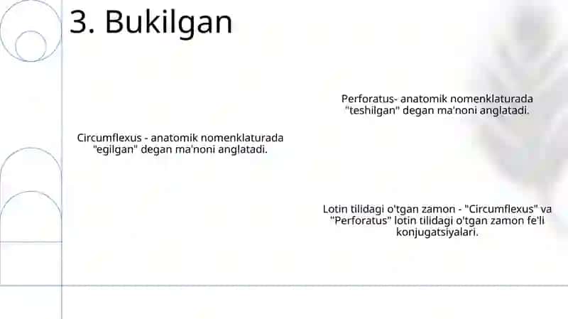 Anatomik Va Gistologik Nomenklaturalarida Qo'Llanadigan O'Tgan Zamon Sifatdoshining Majhullik Nisbati. (Circumflexus-Egilgan, Perforatus-Teshilgan) 4