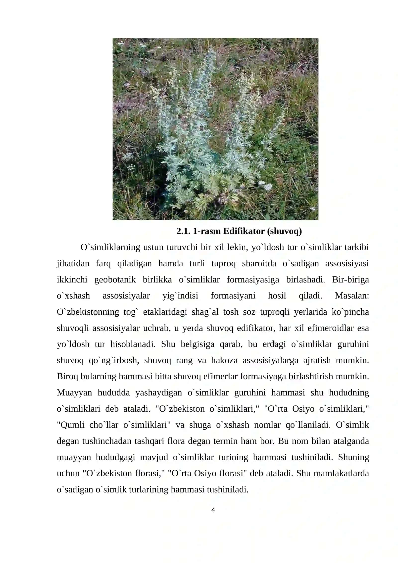 O`simliklar jamoasi (fitotsenoz)ning strukturalari 4