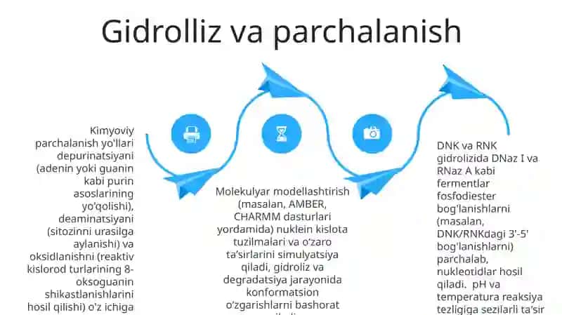 Nuklein kislotalarning kimyoviy xossalari va ularni modellash 4