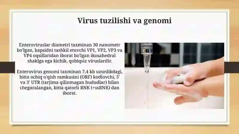 Enteroviruslar va ularning klinik ko‘rinishlari (meningit, miokardit va b.) 4