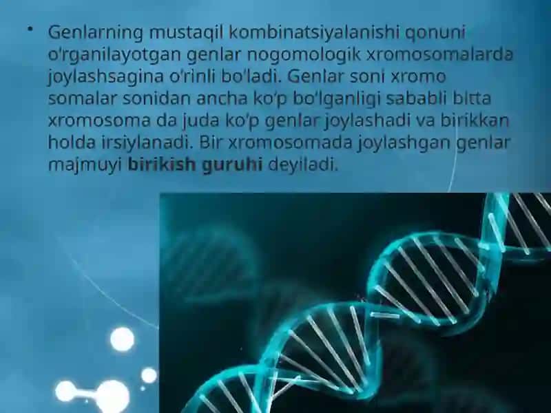 IRSIYATNING XROMOSOMA NAZARIYASI 4