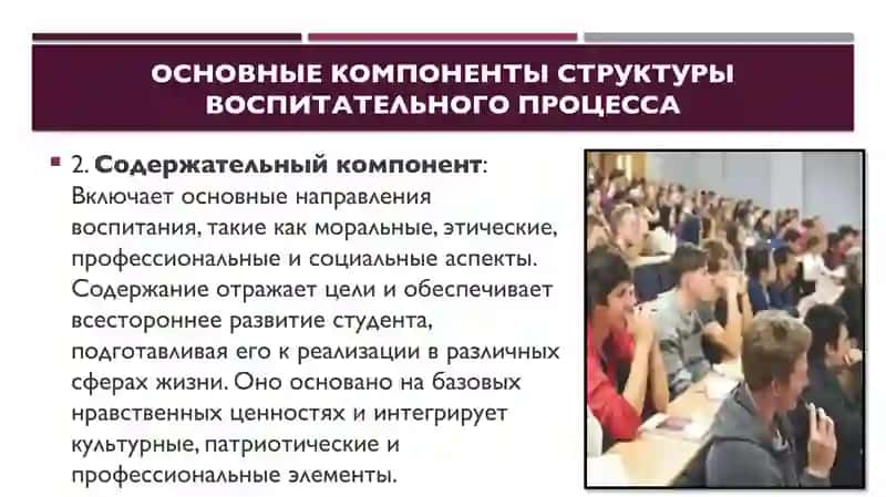 Структура воспитательного процесса в вузе 4