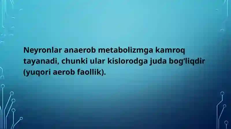 Nerv hujayralarida metabolizm jarayonlari 4
