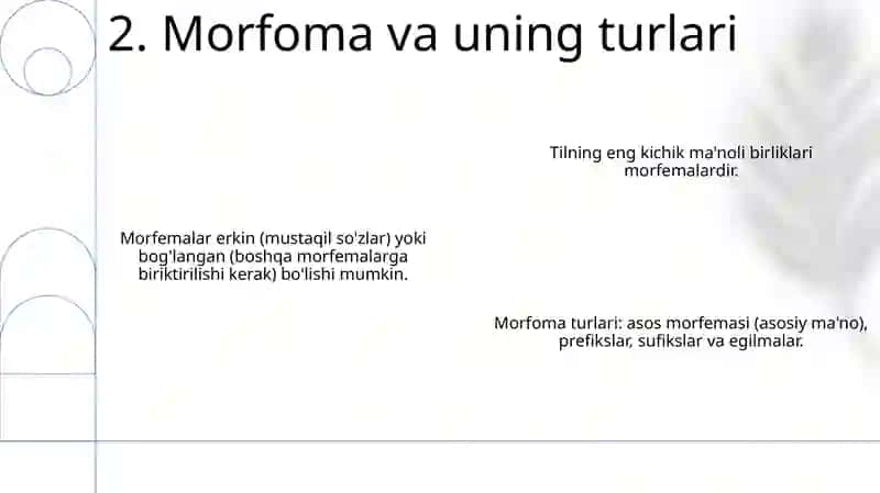 Morfologiya 4