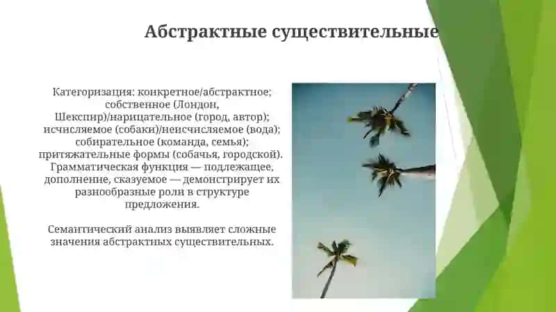 Презентация по теме: Имя существительное 4