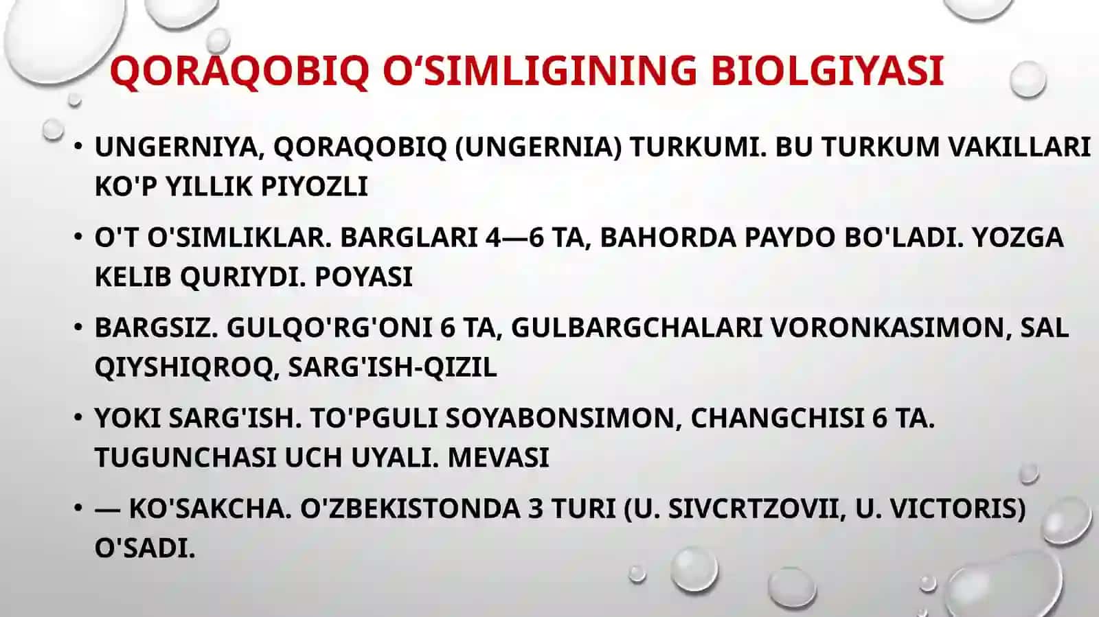 Tugunak piyozli (Zafaron,qoraqobiq,Sarvinjon) o’simliklar 4