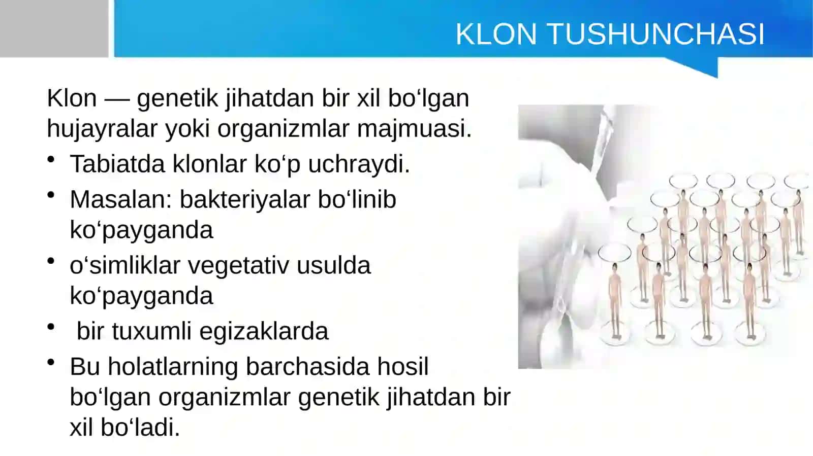 Klonlar, klonlashtirish va tibbiyotda rekombinant DNK texnologiyasi 4