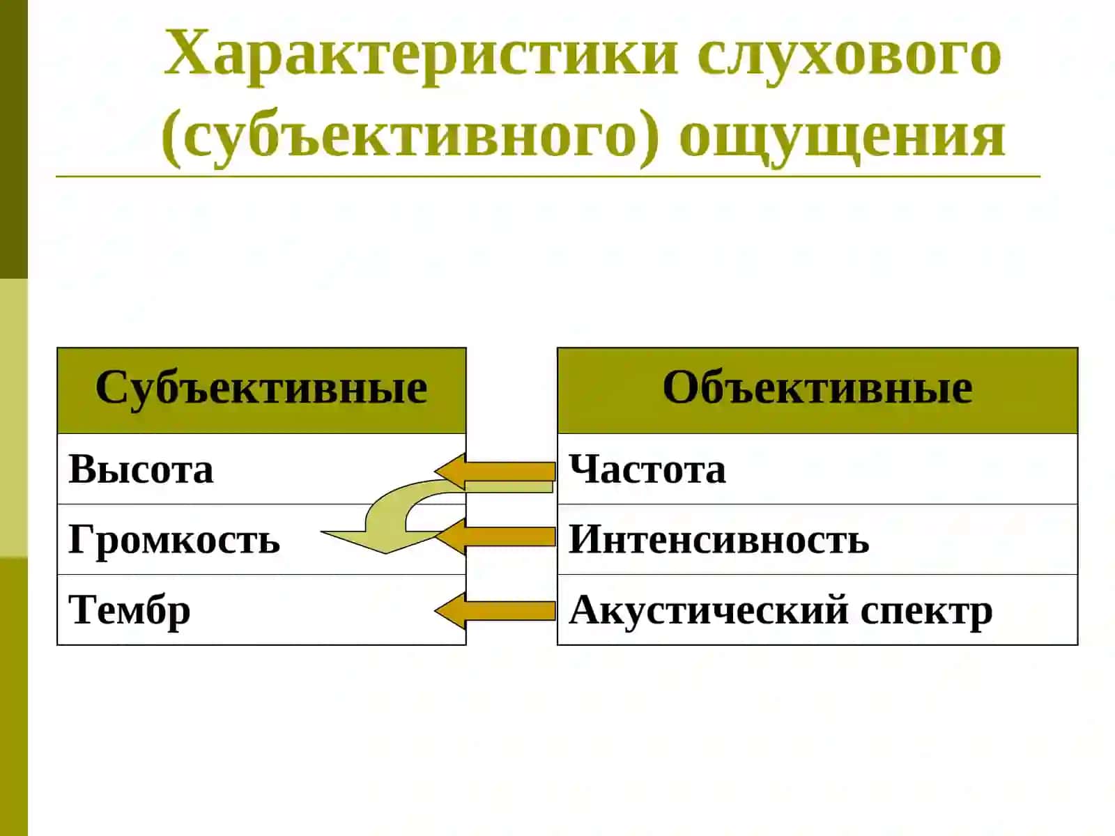Физические основы биологической акустики 4
