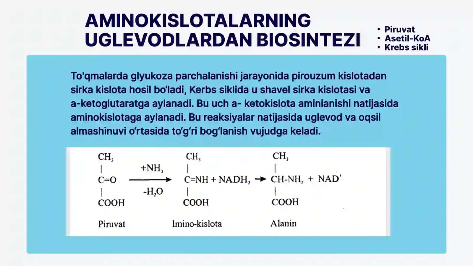 Uglevodlar, yog'lar va aminokislotalar almashinuvining o'zaro bog'liqligi 4