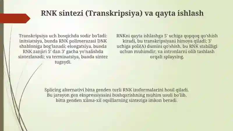Ribonuklein kislotalar 4