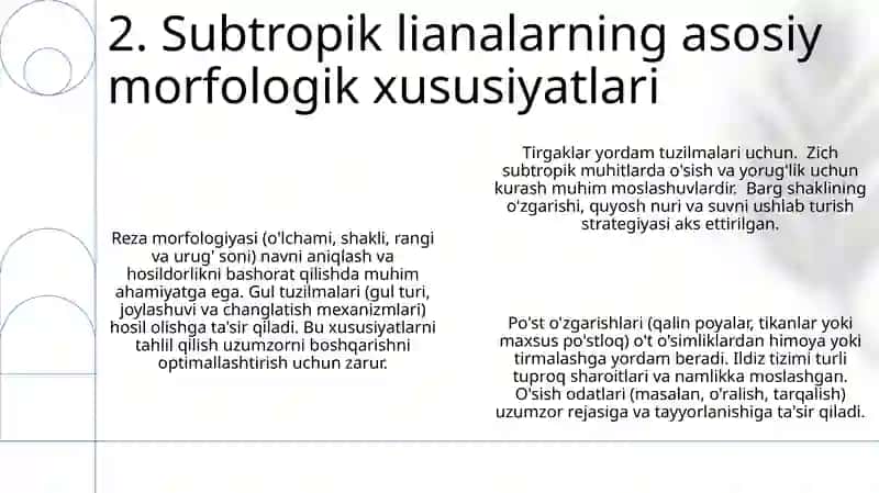 Subtropik Oʻsimliklar va Rezavor Mevalar Morfologiyasi 4