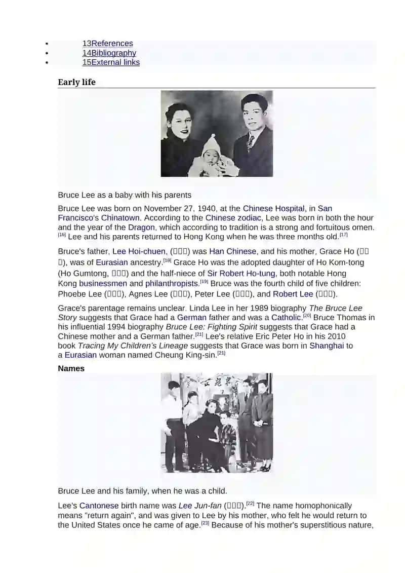 Bruce Lee 4