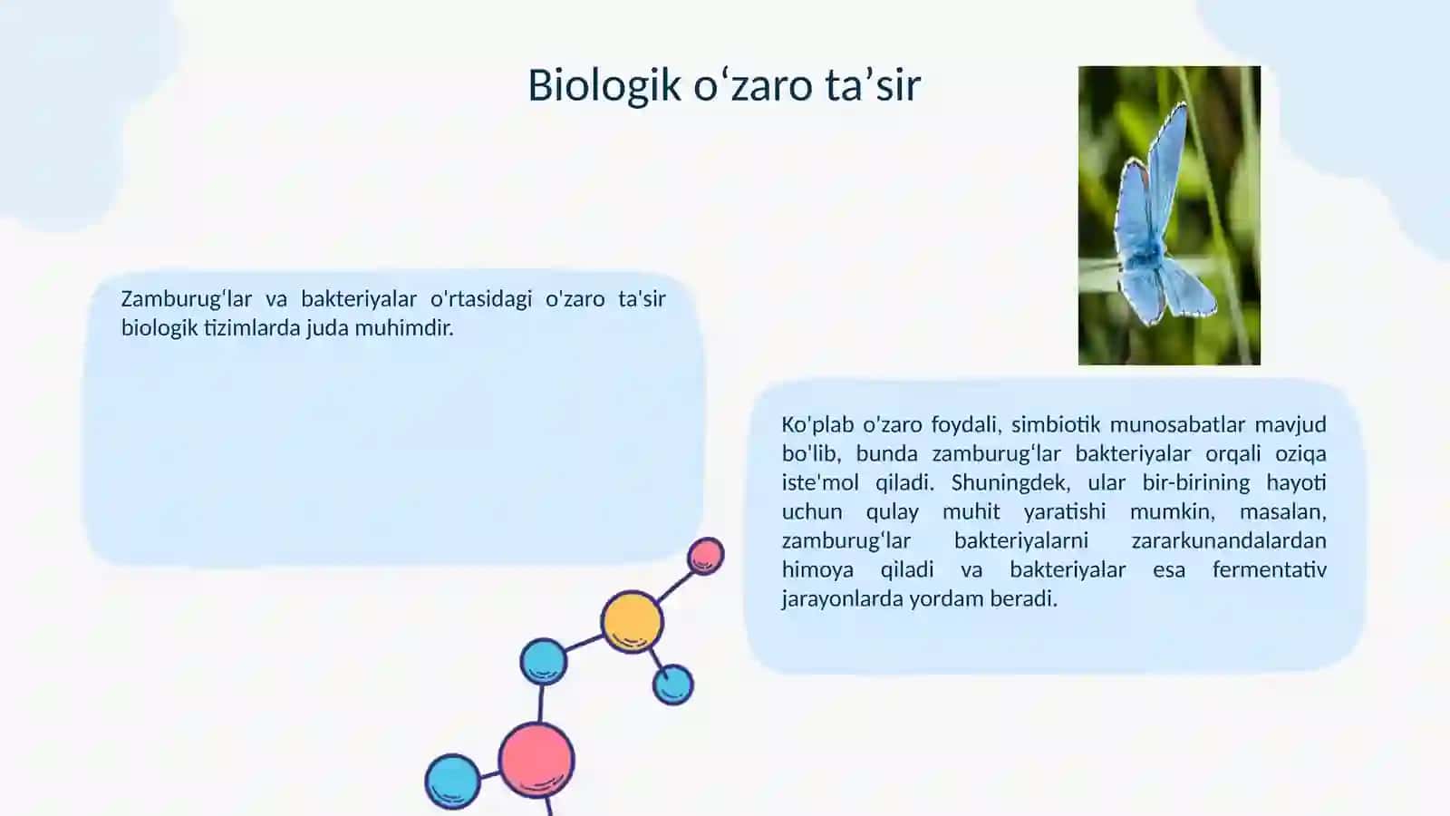 Foydali Zamburogʻ va Bakteriyalar 4
