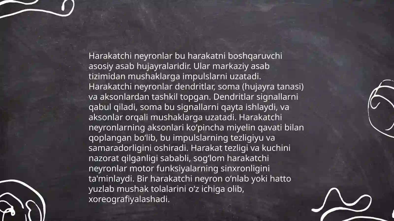 ORQA MIYANING HARAKATLANTIRUVCHI NEYRONLARINI TURLARI. ULARNING MORFOFUNKSIONAL XUSUSIYATLARI 4