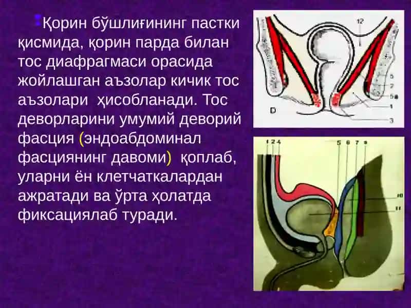 Тос чаноғи топографик анатомияси. Тос бўшлиғи аъзоларида асосий операциялар. 4