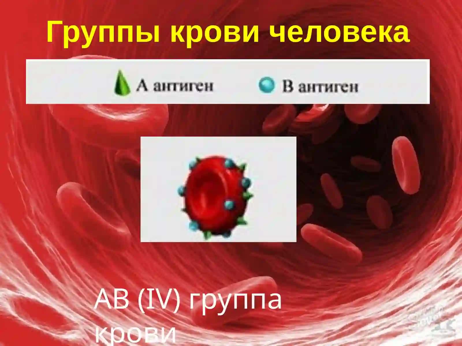 Гемостаз 4