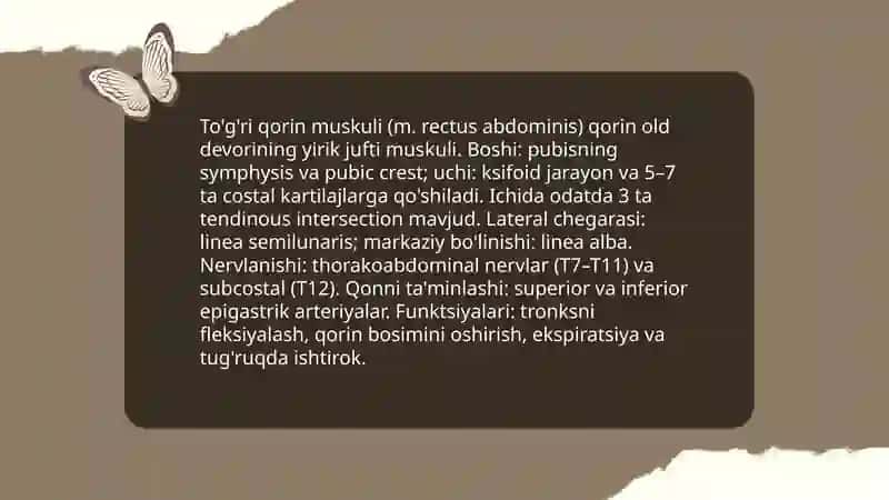Qorin muskullari 4