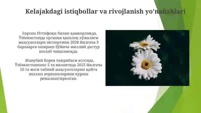 Tabiiy mahsulotlarni ishlab chiqarishni rivojlantirish 4