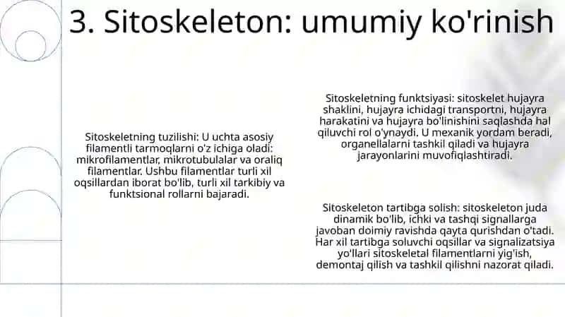 Hujayra Sitoskeletining Strukturaviy Va Funksional Tashkil Etilishi 4