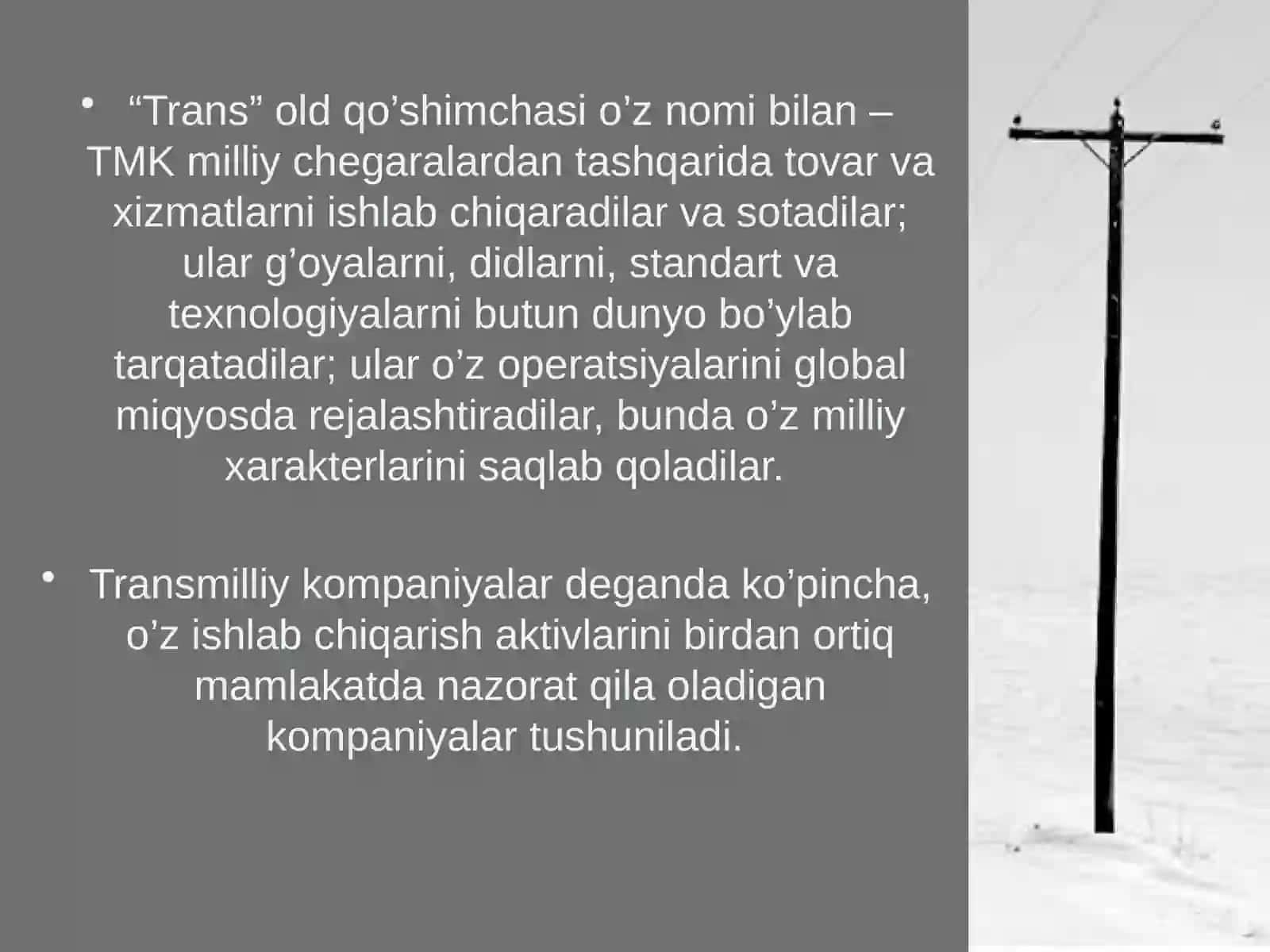 Glaballashuv sharoiti da transmilliy korparatsiyalar 4
