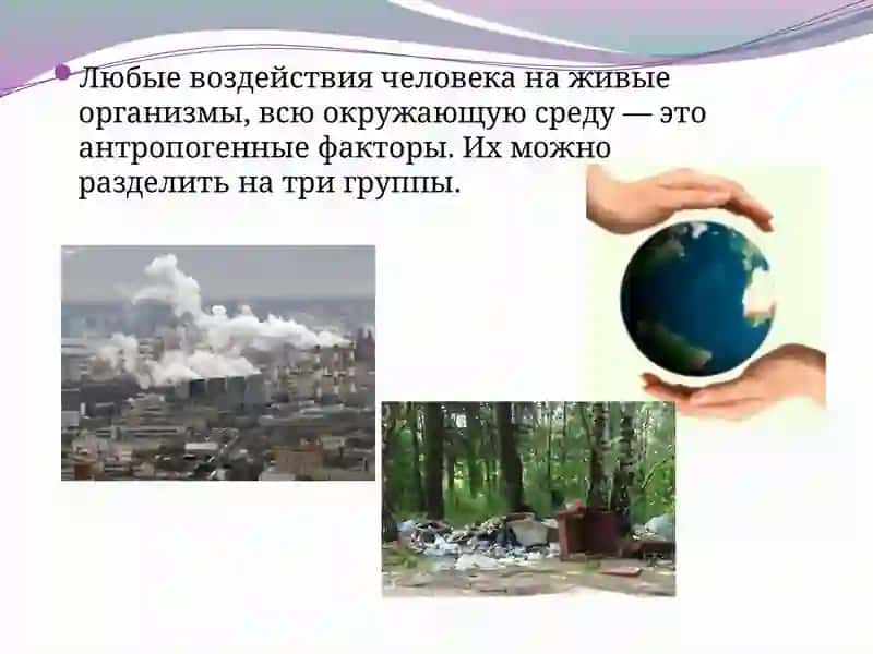 Самостоятельная работа студента Ф920ой группы Мирзашарипов Жахонгир 4