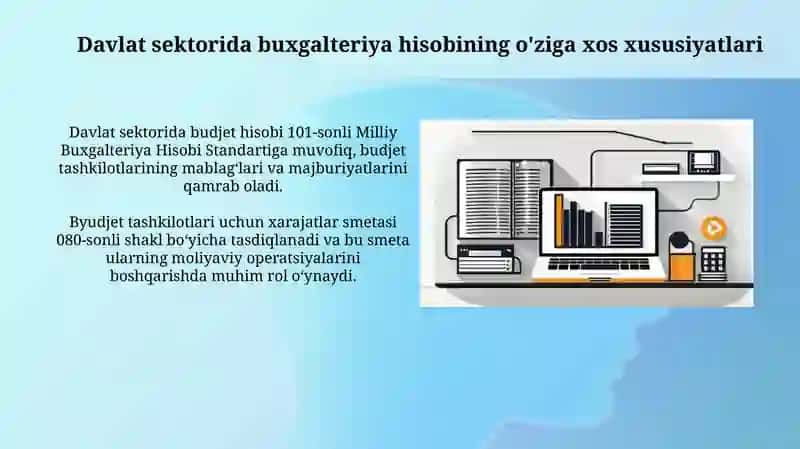 Davlat sektori buxgalteriya hisobiningaxborottizi 4